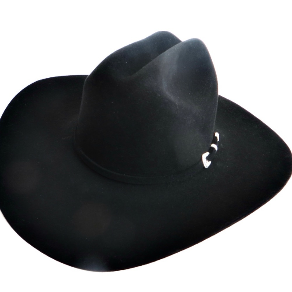 Classic Western Lariat Style Hat by Stetson. Original box included